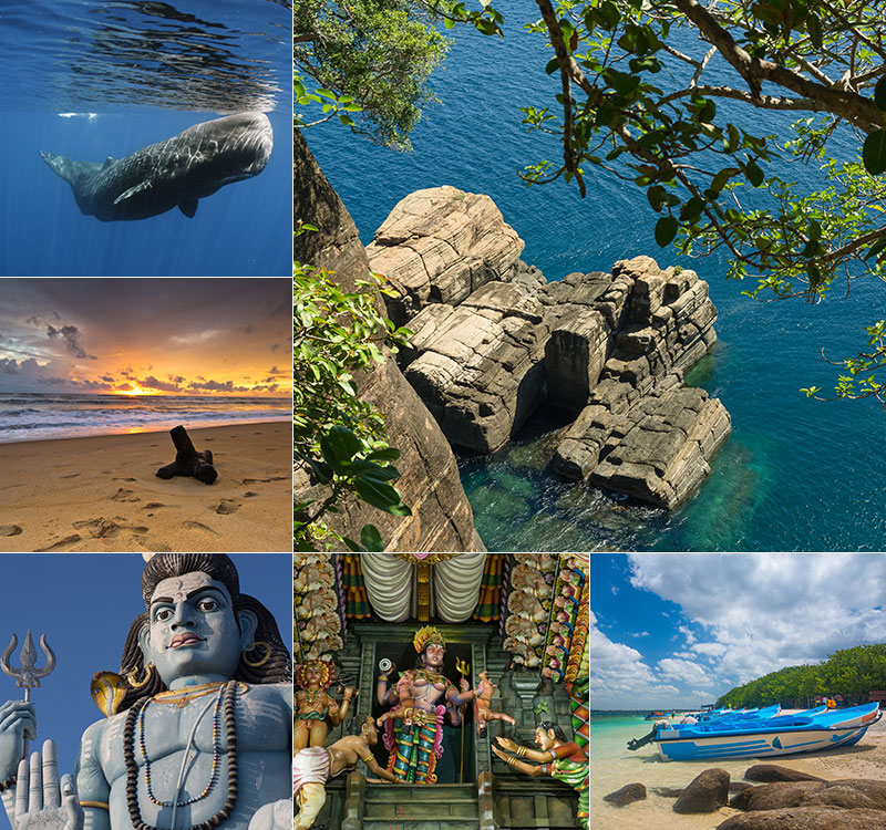 Pristine beaches of Sri Lanka's northeast coast